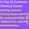 Common Kitchen Chimney Issues